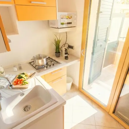 The Sea Wind & Palau
